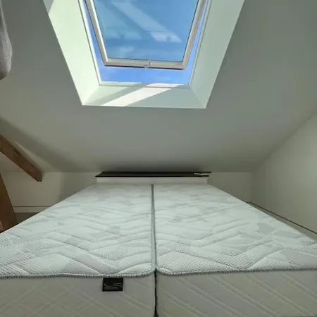 Logement Neuf Et Confortable - Peripherie Mancelle Lejlighed *